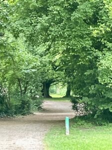 Ein Kiesweg in einem Park voller Bäume, der verschiedene Richtungen ermöglicht.
