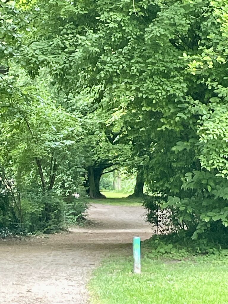 Ein Kiesweg in einem Park voller Bäume, der verschiedene Richtungen ermöglicht.